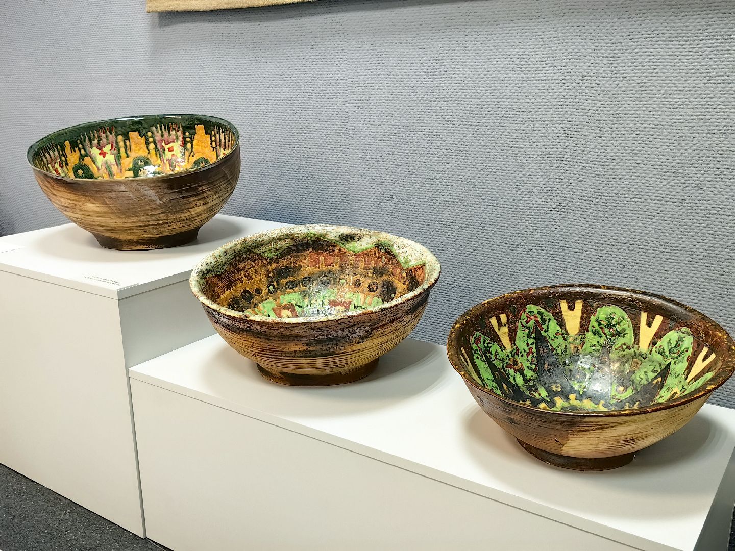 черепахи, сова, выставка, керамика, гобелен, природа, музей,