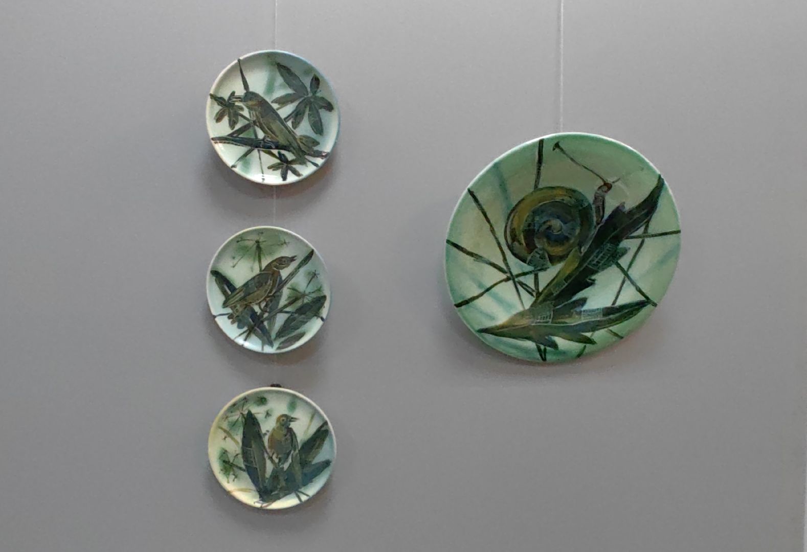 черепахи, сова, выставка, керамика, гобелен, природа, музей,