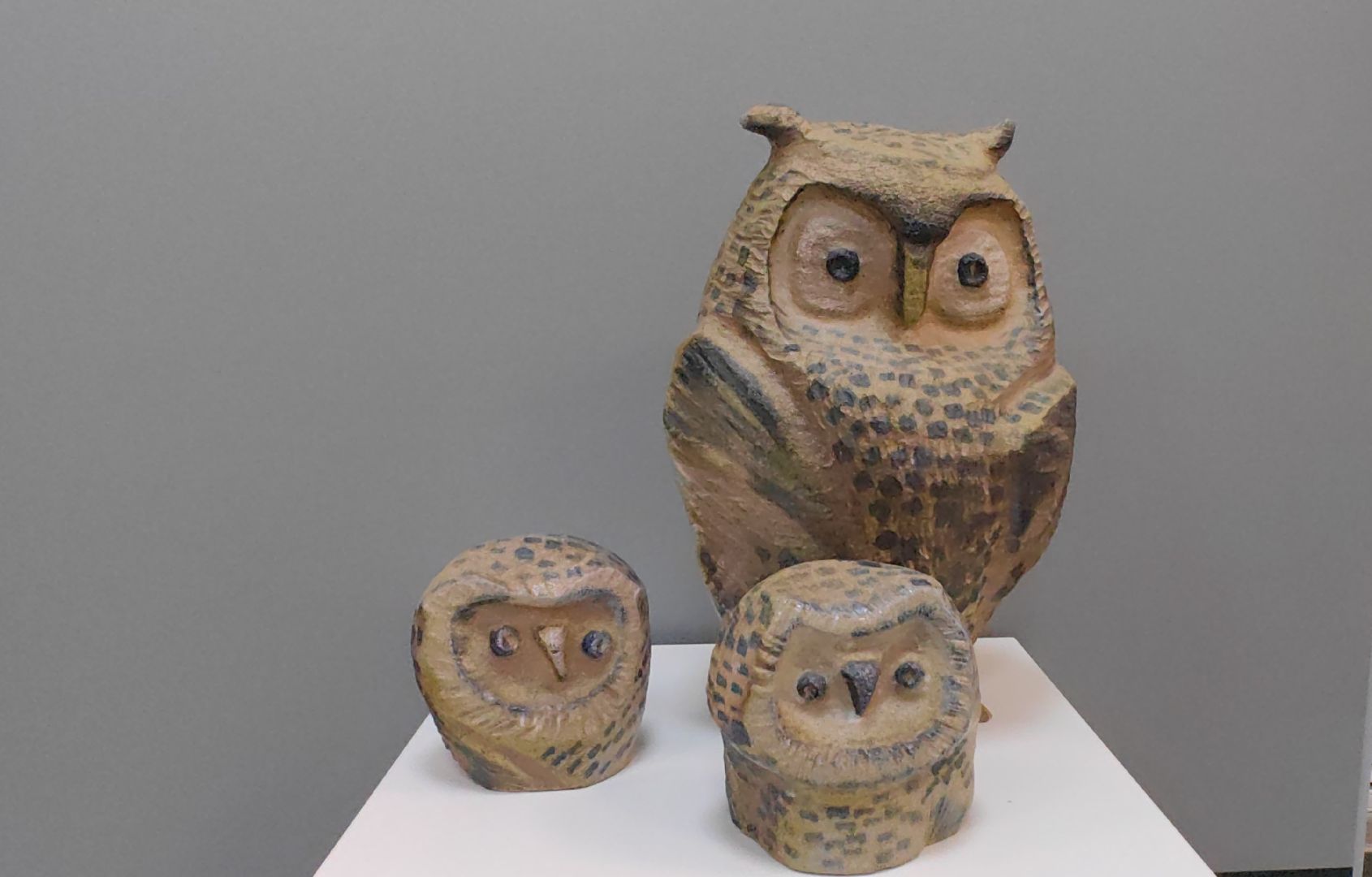 черепахи, сова, выставка, керамика, гобелен, природа, музей,