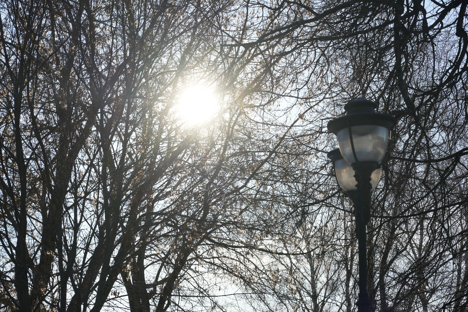погода, потепление, гололед, сергиев посад, сергиево-посадский городской округ, природа, январь,