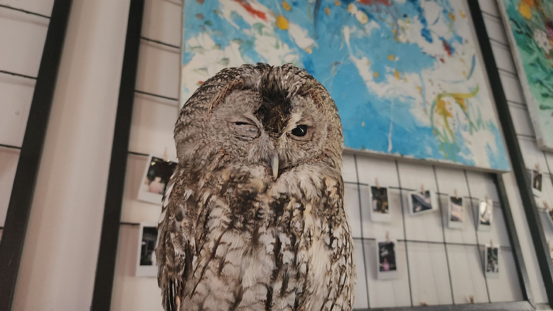 сова, техцентр, автосервис, балашиха,