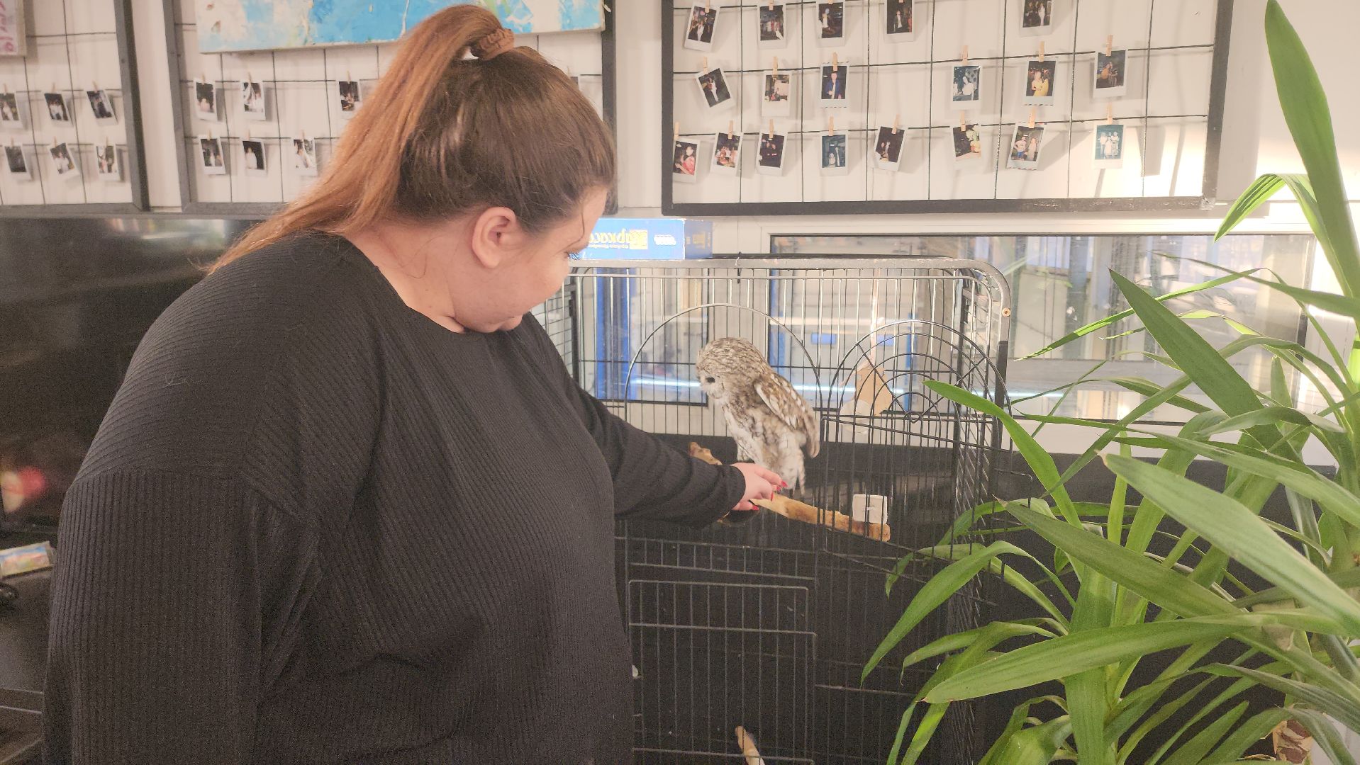 сова, техцентр, автосервис, балашиха,