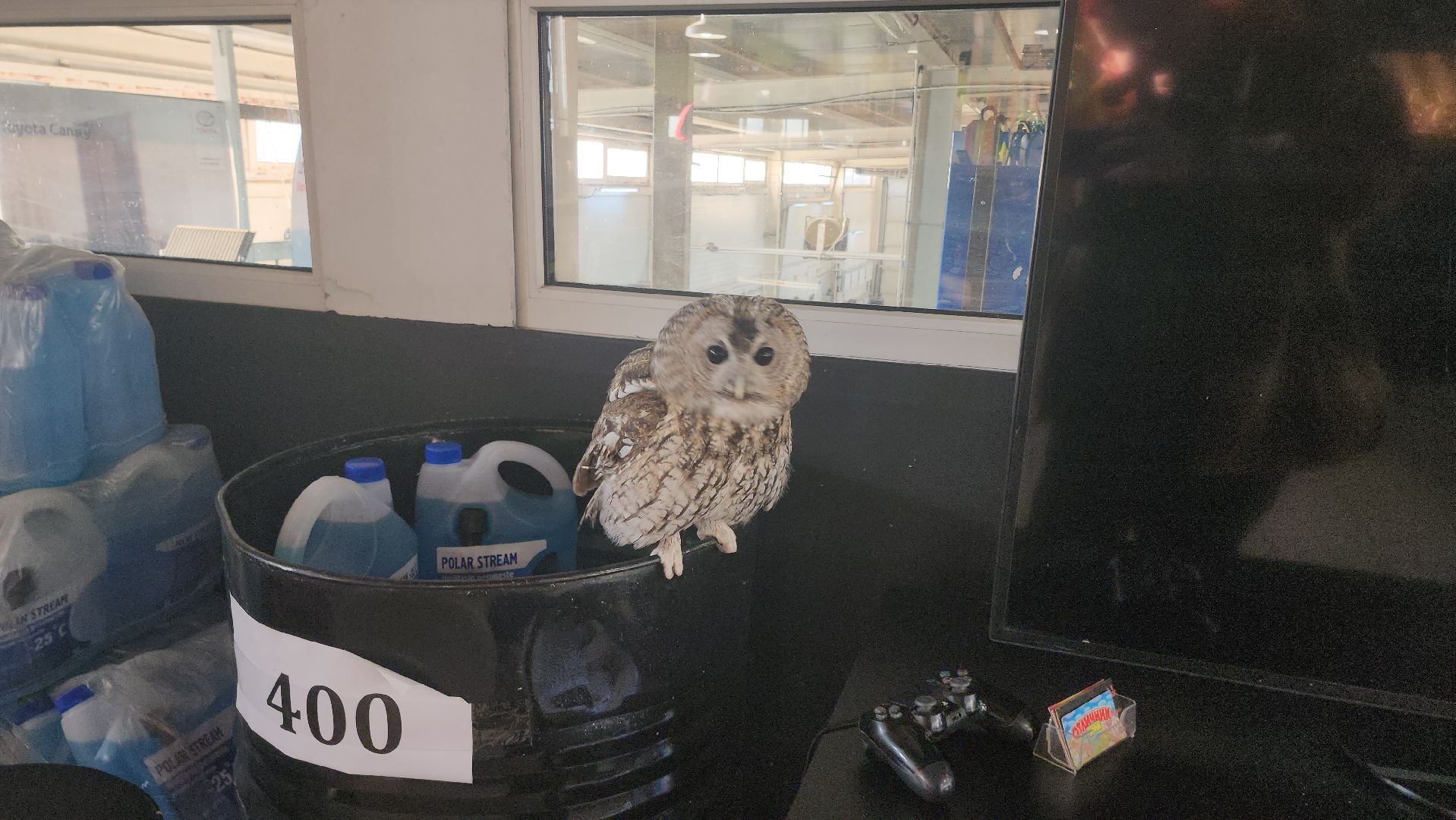 сова, техцентр, автосервис, балашиха,