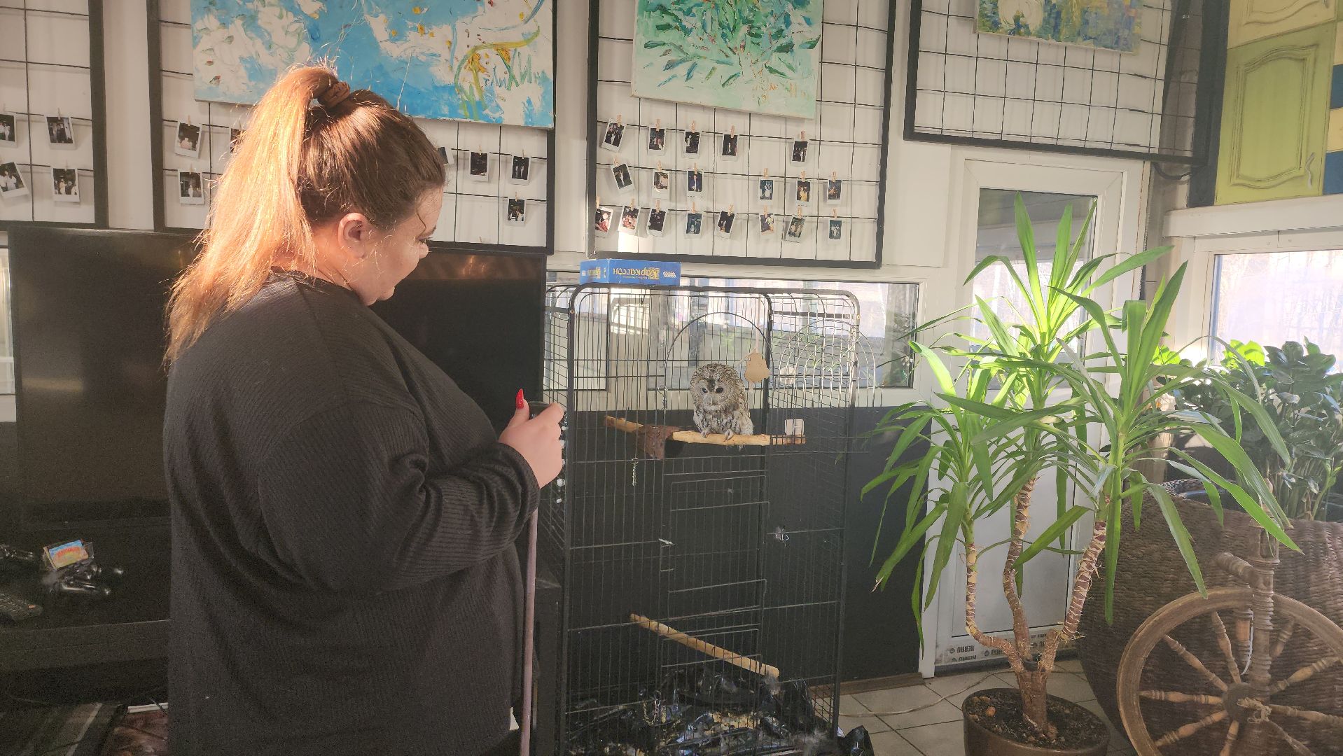 сова, техцентр, автосервис, балашиха,