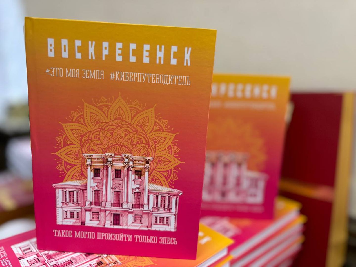 воскресенск, книга, история,
