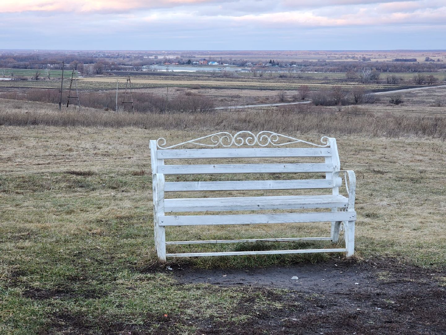 луховицы, вертикалки, ПеревицкийТоржок, общество,