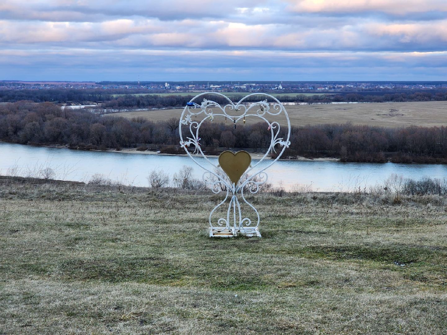 луховицы, вертикалки, ПеревицкийТоржок, общество,