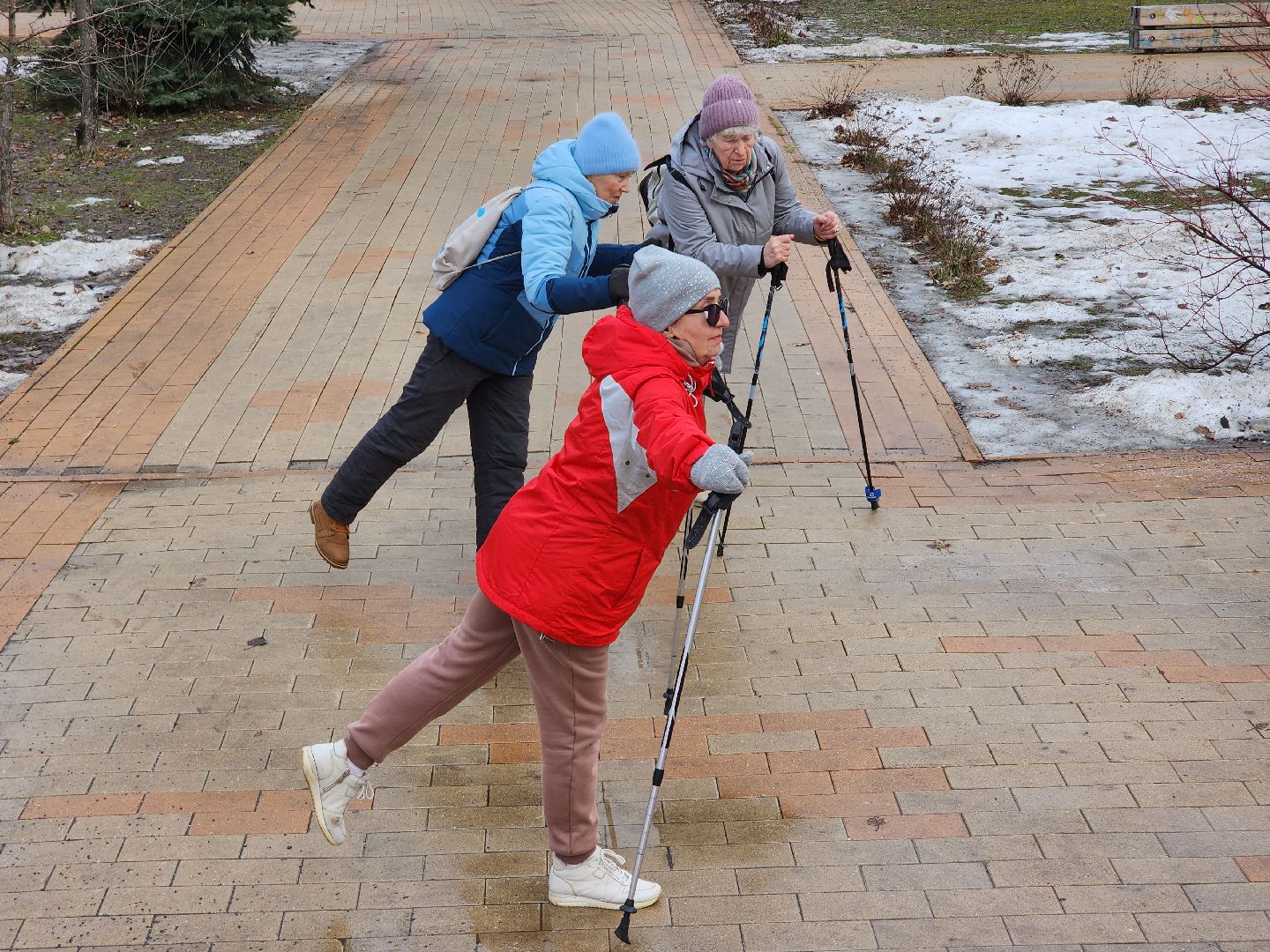 скандинавская ходьба, спорт, активность, здоровье,