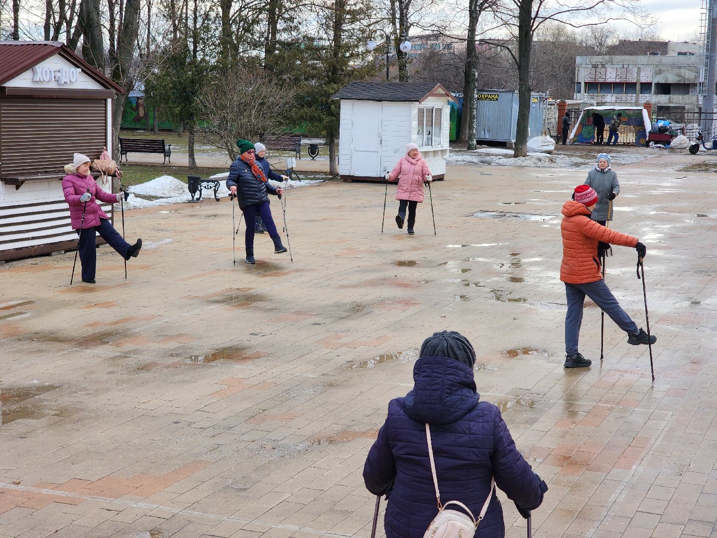 скандинавская ходьба, спорт, активность, здоровье,