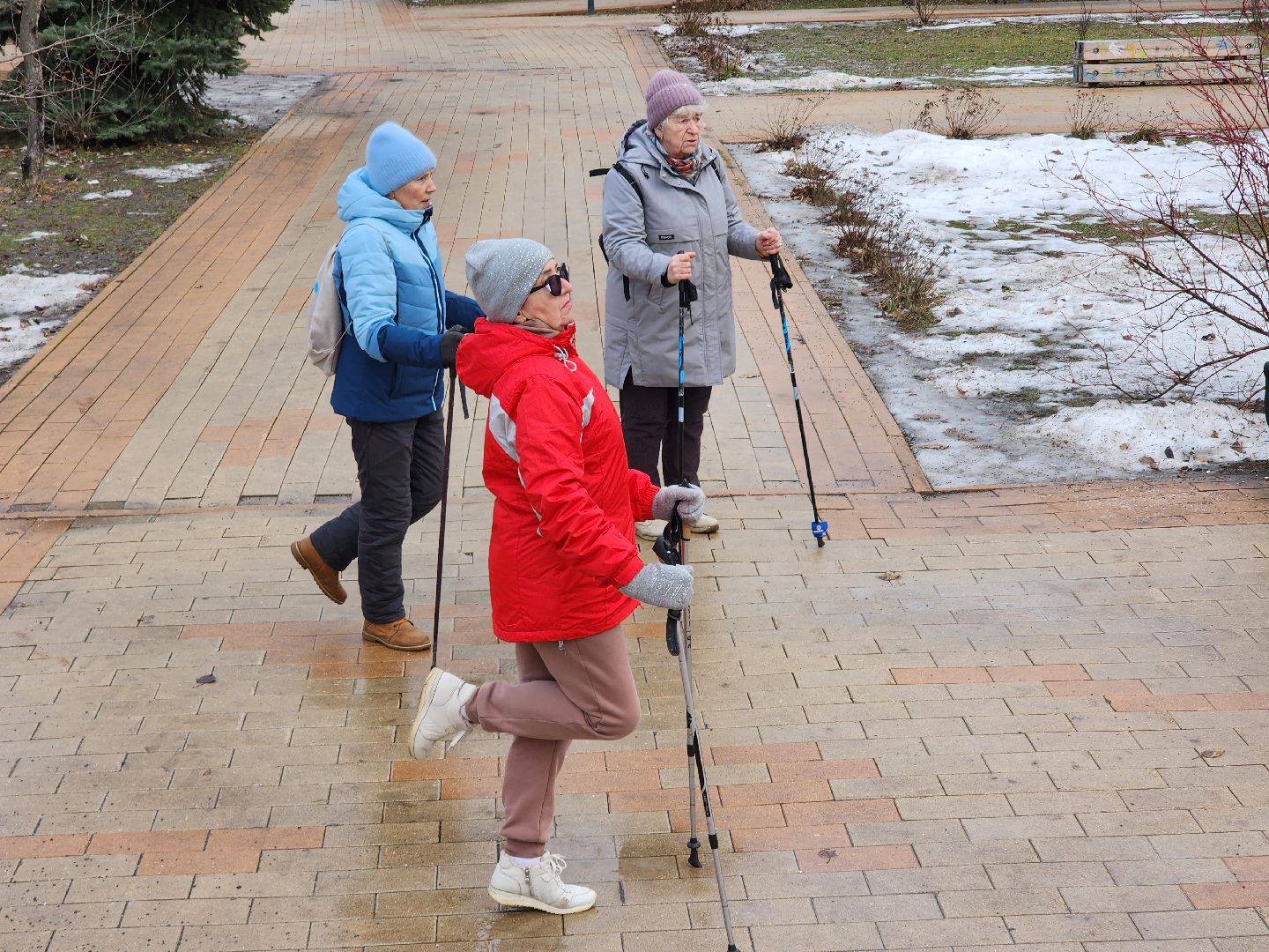скандинавская ходьба, спорт, активность, здоровье,