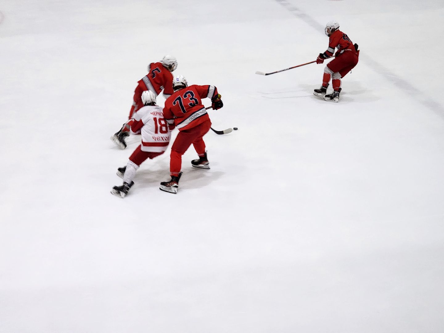 подольск, хоккей, игры, Витязь,