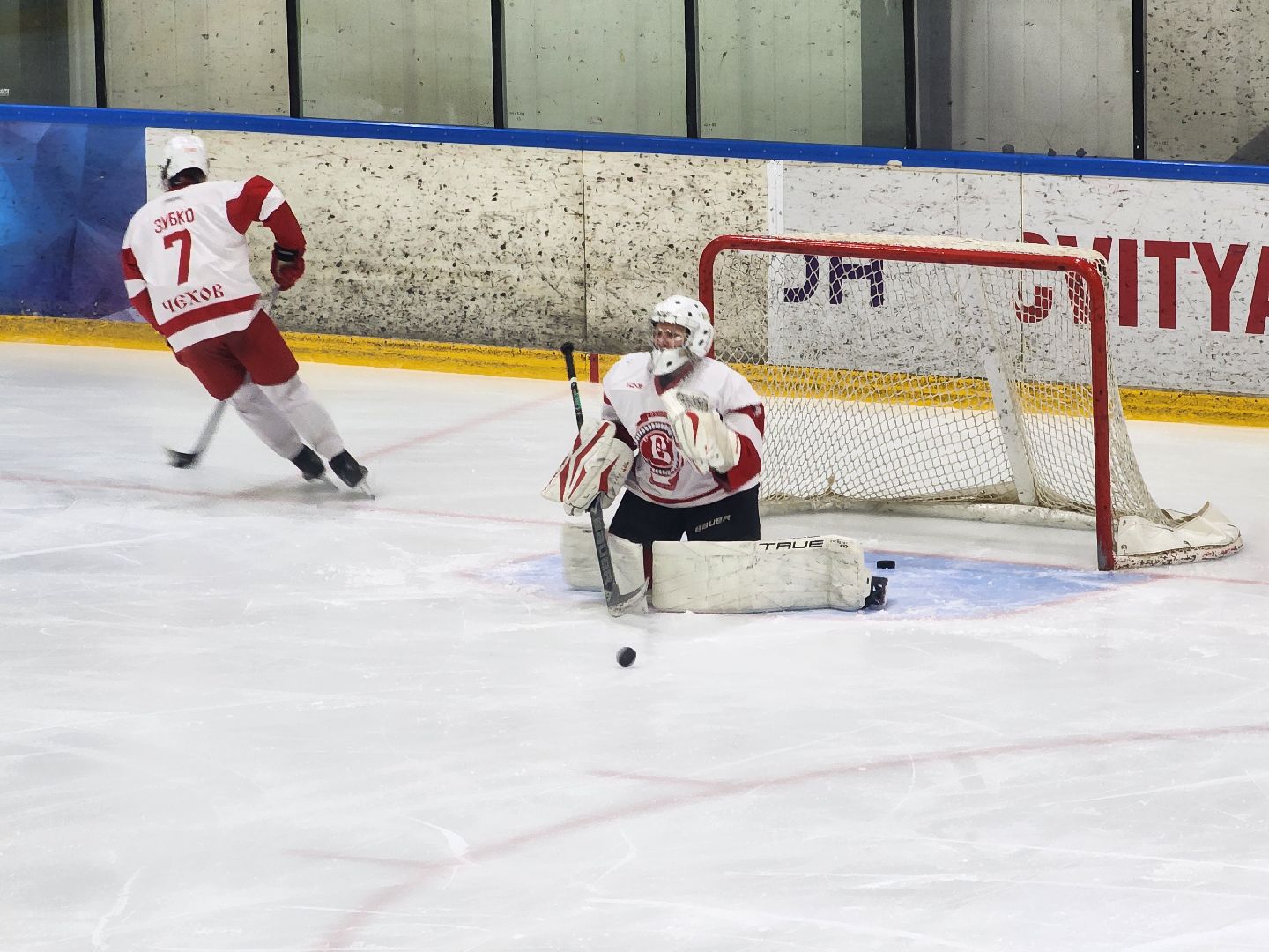 подольск, хоккей, игры, Витязь,
