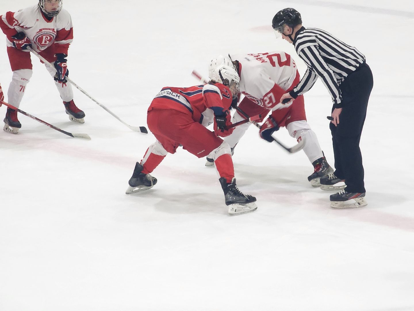 подольск, хоккей, игры, Витязь,