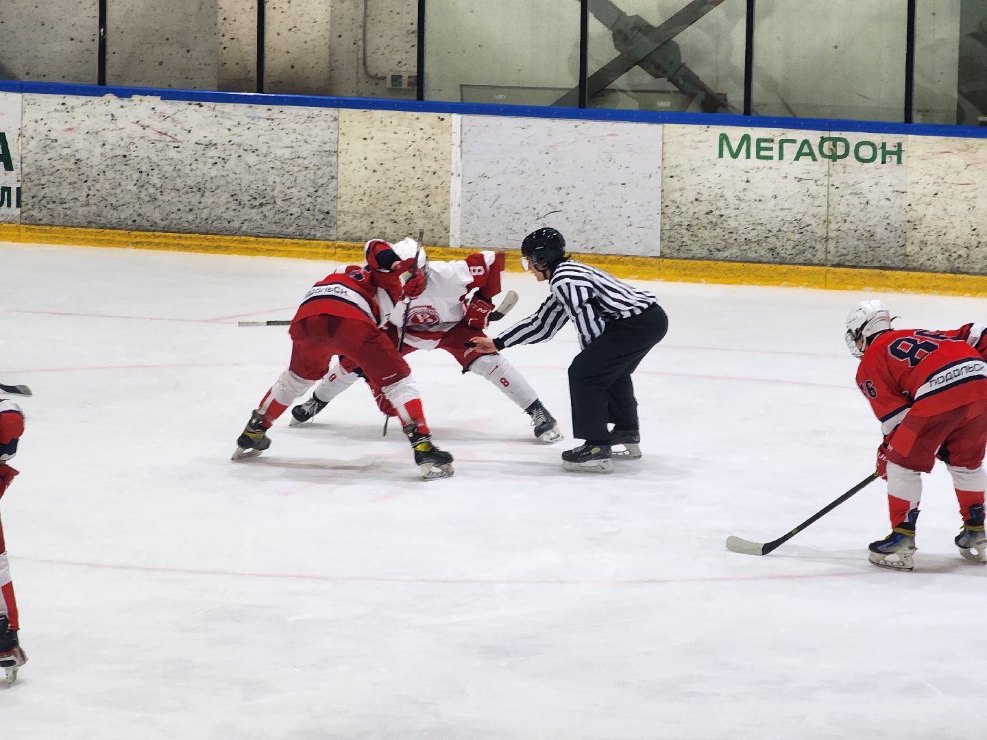 подольск, хоккей, игры, Витязь,