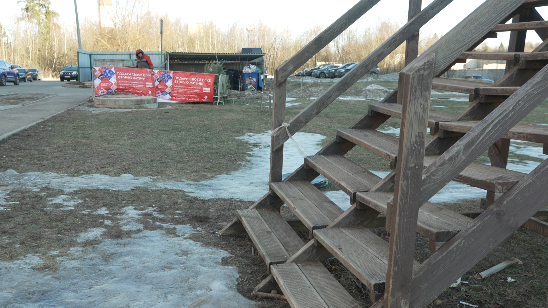 Сдай елку на переработку, экология подмосковья, хвойные деревья, елка в переработку, вторая жизнь елке,