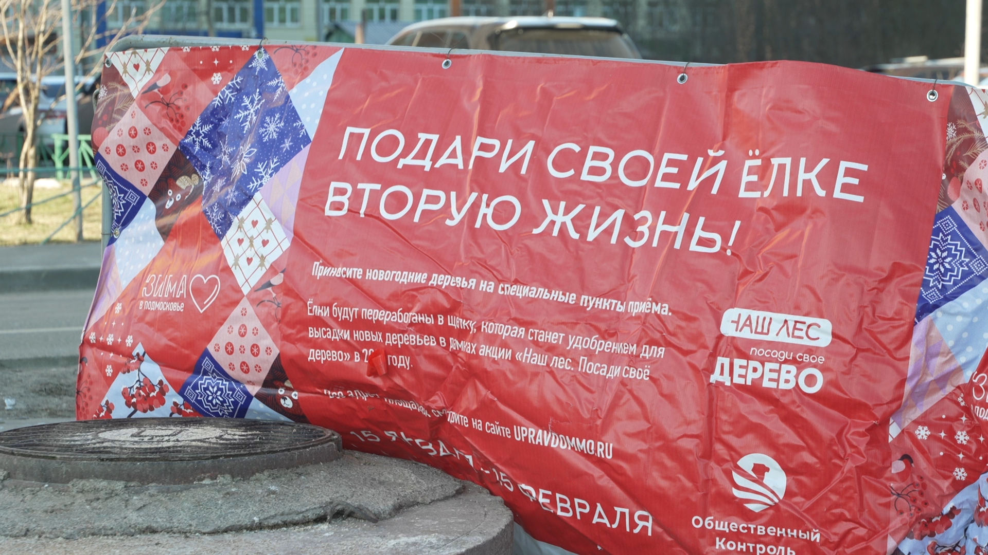 Сдай елку на переработку, экология подмосковья, хвойные деревья, елка в переработку, вторая жизнь елке,