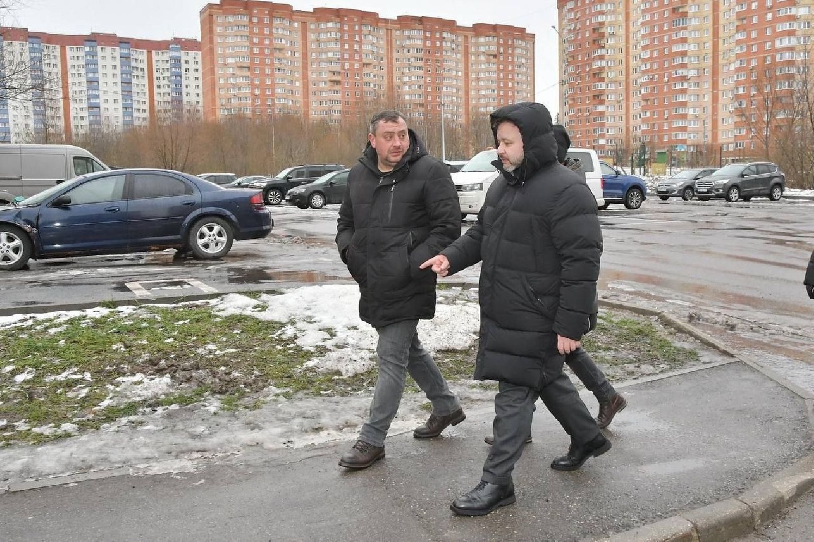 Сдай елку на переработку, экология подмосковья, хвойные деревья, елка в переработку, вторая жизнь елке,