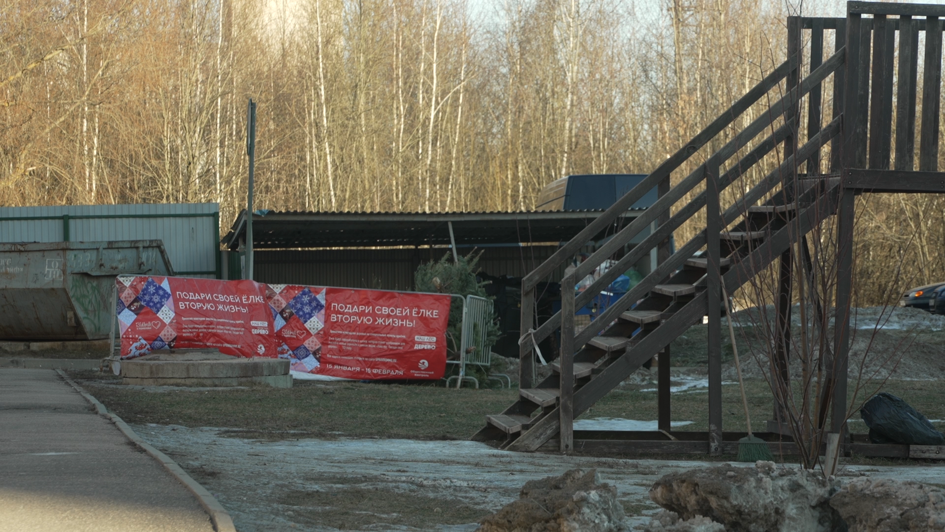 Сдай елку на переработку, экология подмосковья, хвойные деревья, елка в переработку, вторая жизнь елке,