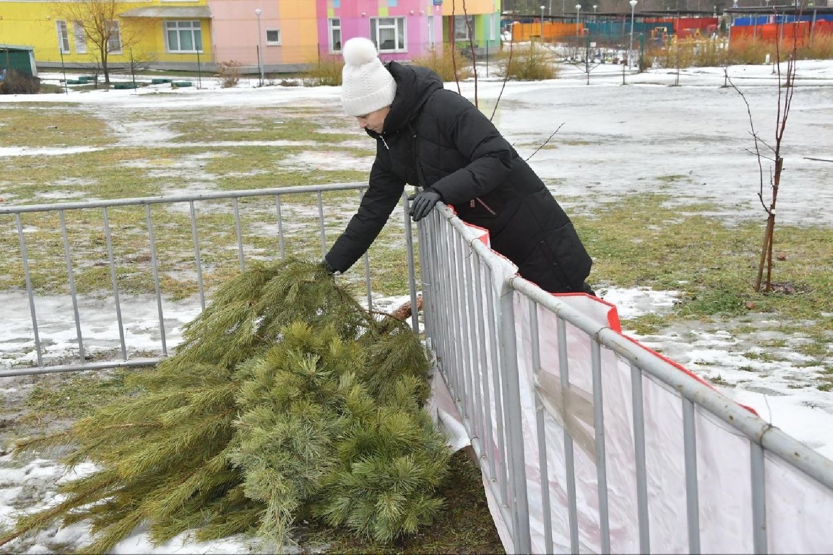 Сдай елку на переработку, экология подмосковья, хвойные деревья, елка в переработку, вторая жизнь елке,