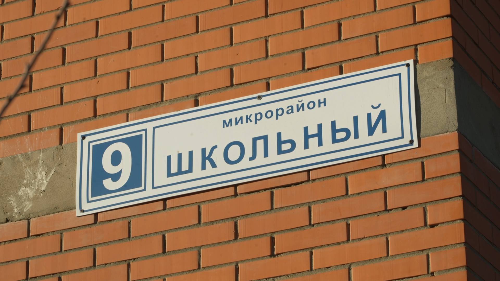 Сдай елку на переработку, экология подмосковья, хвойные деревья, елка в переработку, вторая жизнь елке,
