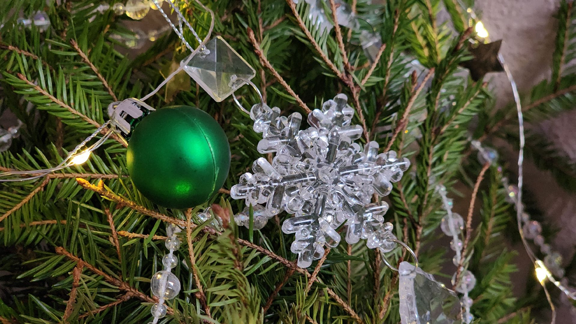 экология, областная акция, переработка елей, Лосино-Петровский,
