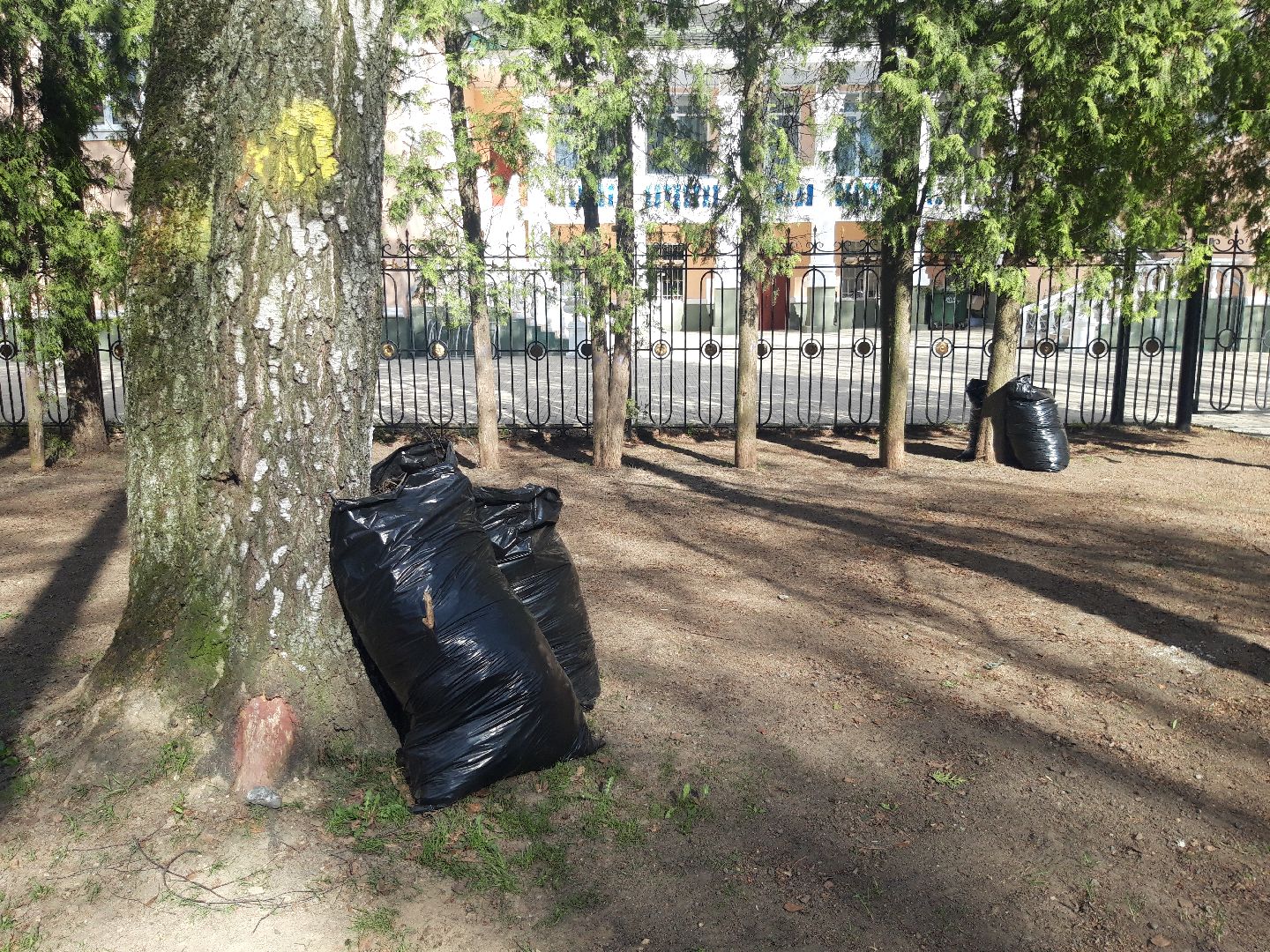 доброе дело, субботник,