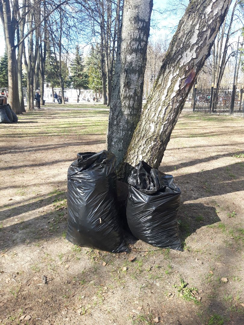 доброе дело, субботник,