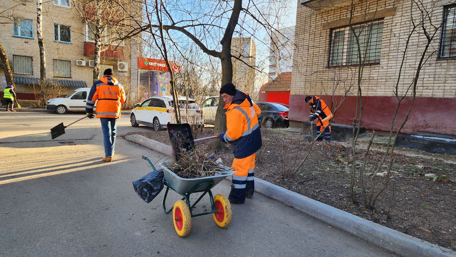 уборка дворов, благоустройство, истра, вертикалки,