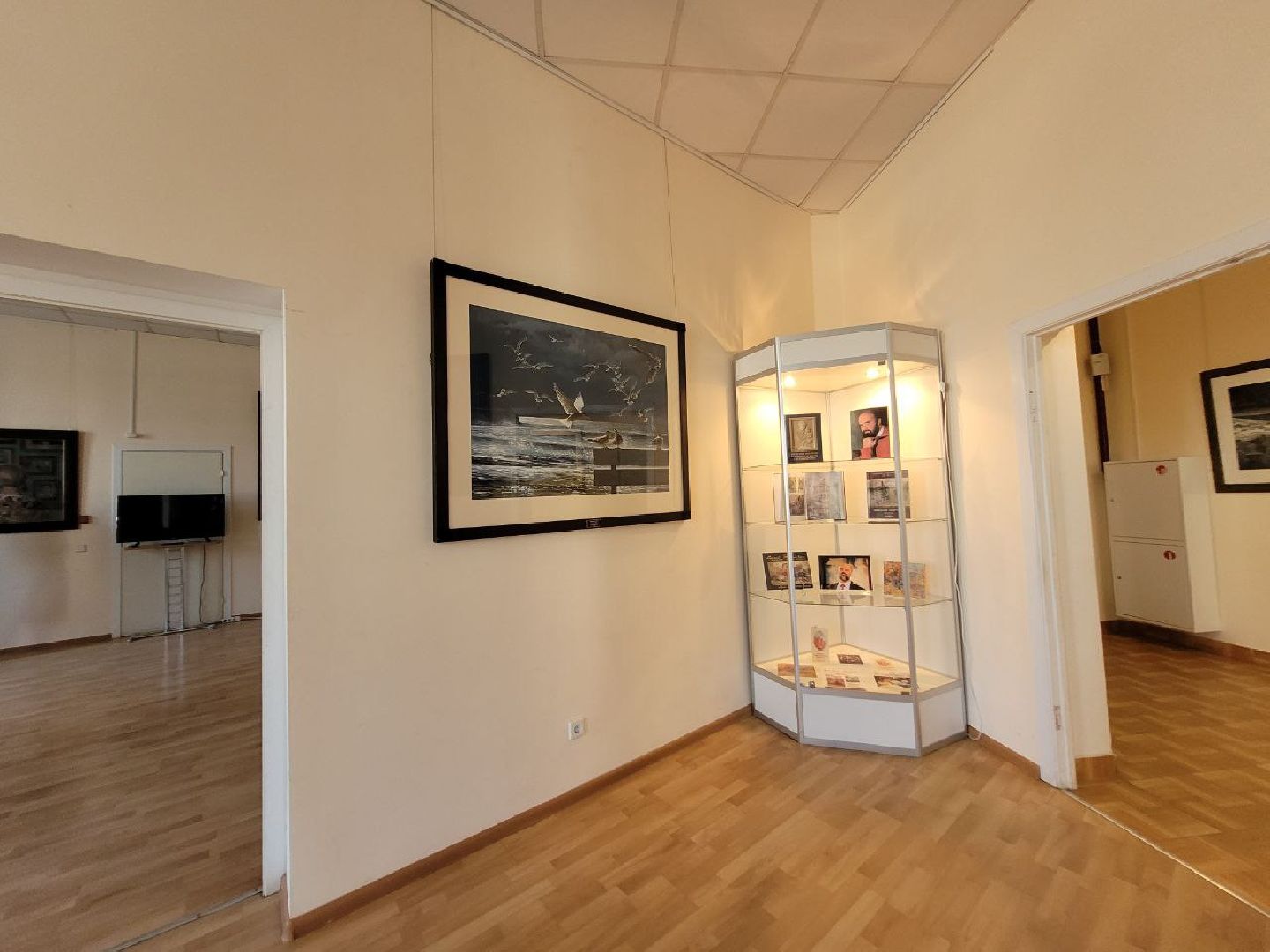 Видное, культурный центр, юбилей