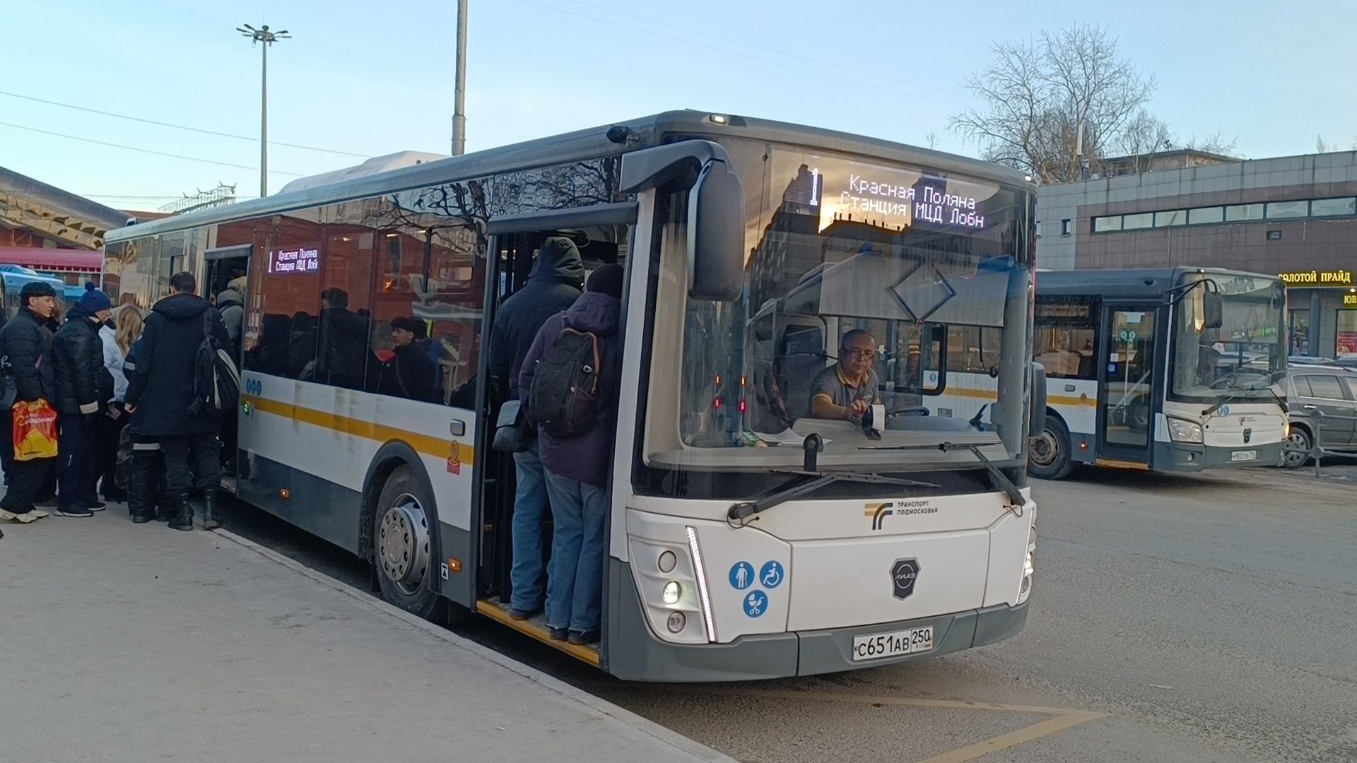 автобус, транспорт, лобня,