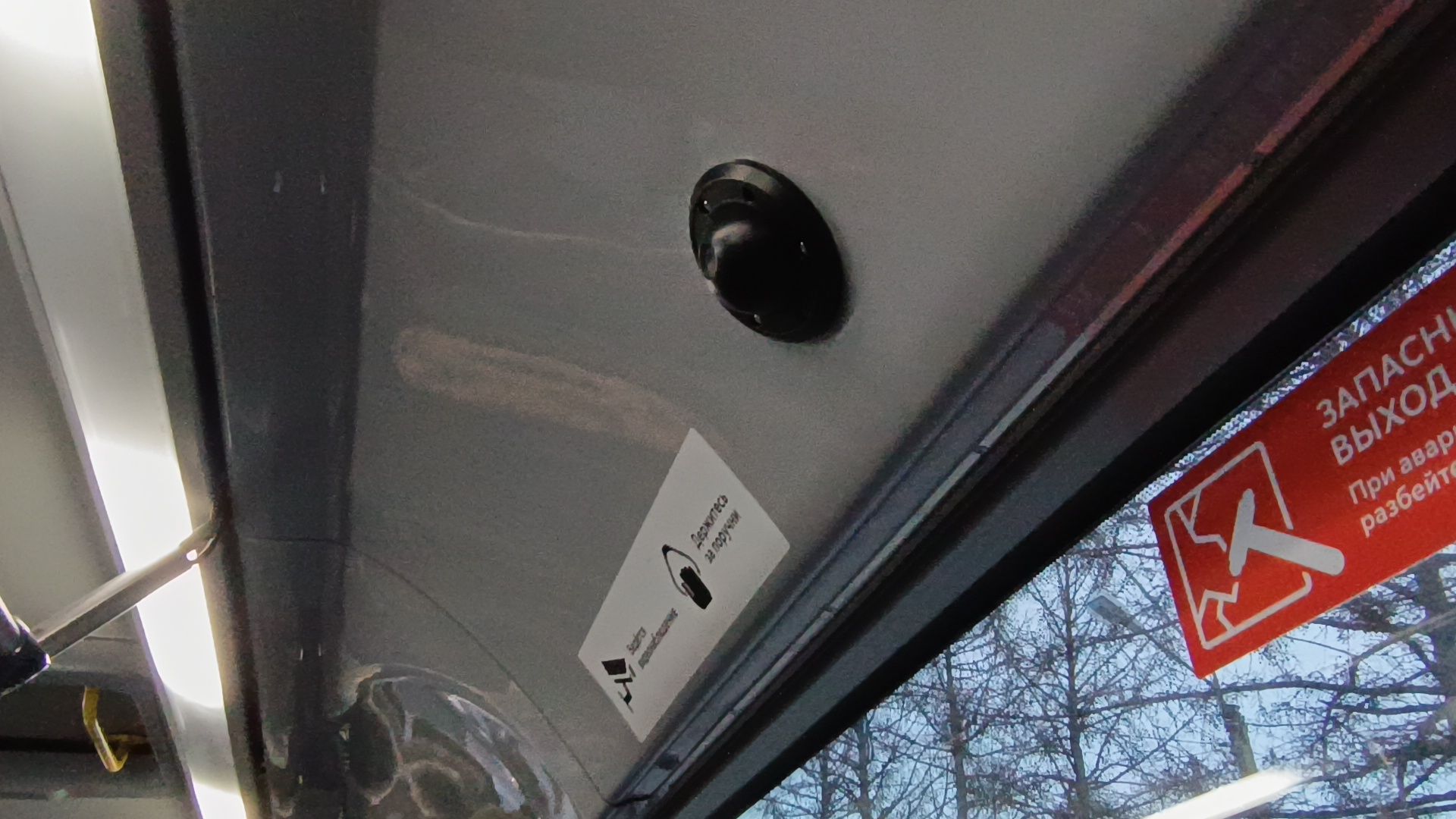 автобус, транспорт, лобня,