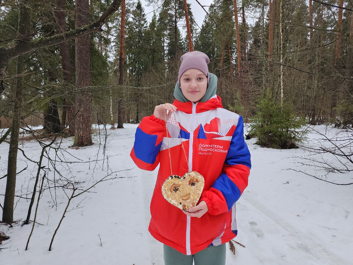 вертикалки, Егорьевск, Подмосковье, Московская область, волонтеры подмосковья,