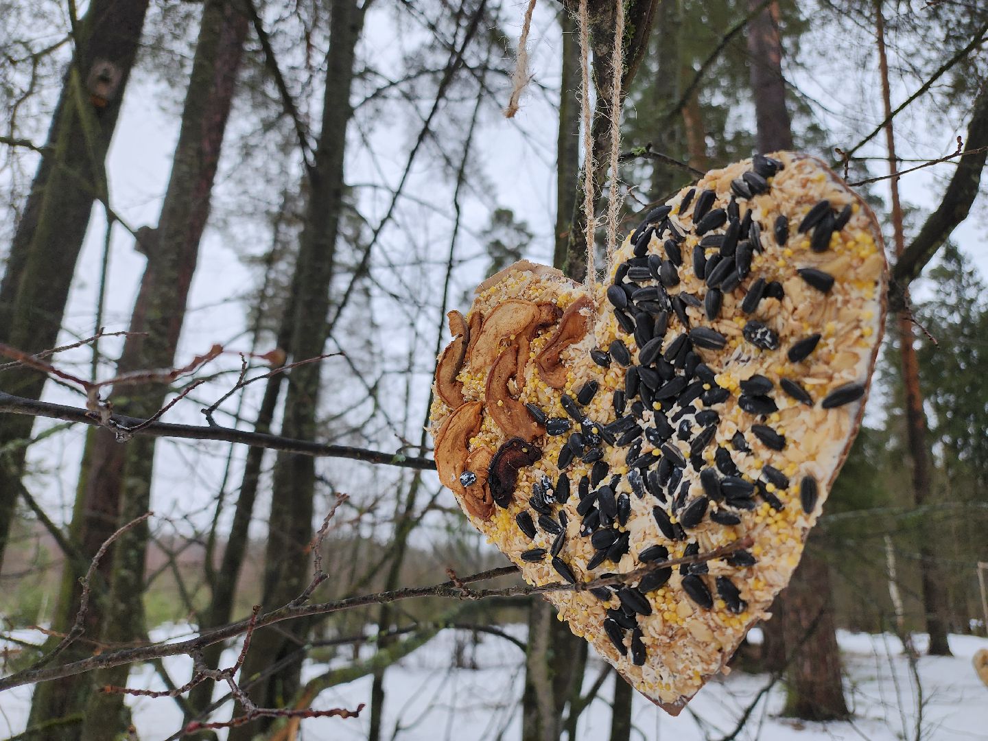 вертикалки, Егорьевск, Подмосковье, Московская область, волонтеры подмосковья,