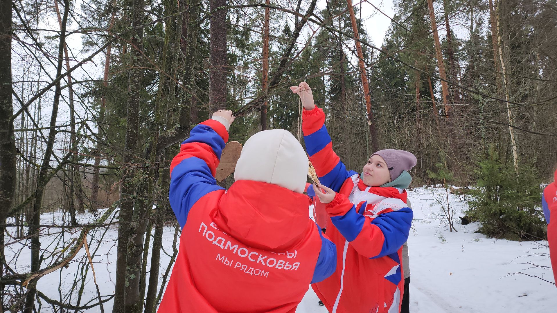 вертикалки, Егорьевск, Подмосковье, Московская область, волонтеры подмосковья,