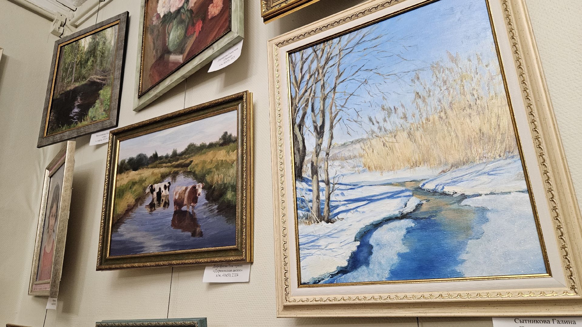 Художник, Выставка, Жуковский,