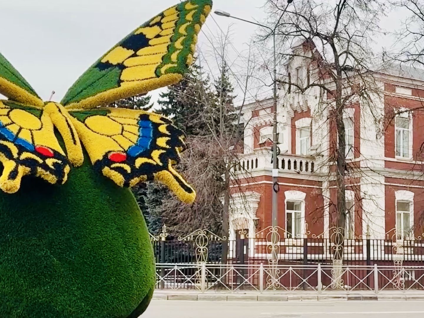 образование, раменское, школа, детский сад,