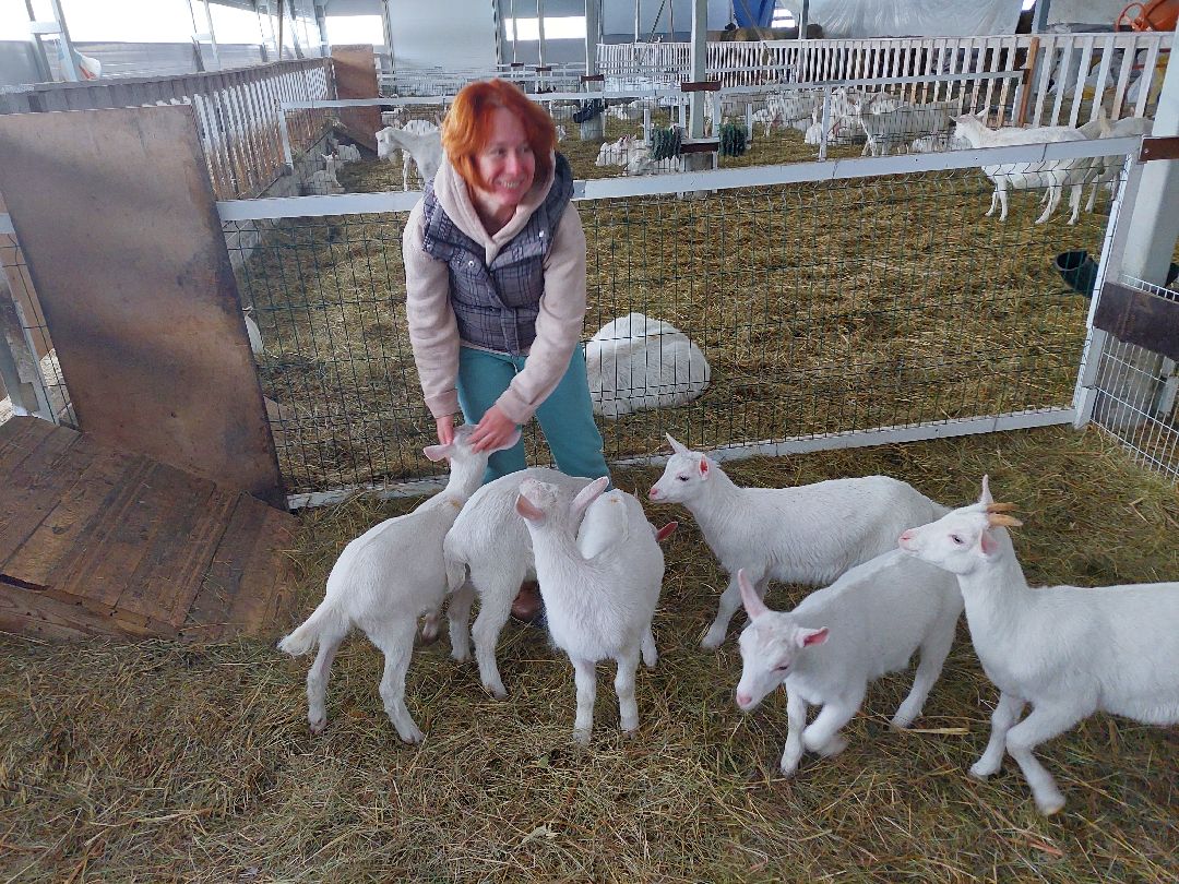 Воскресенск, общество