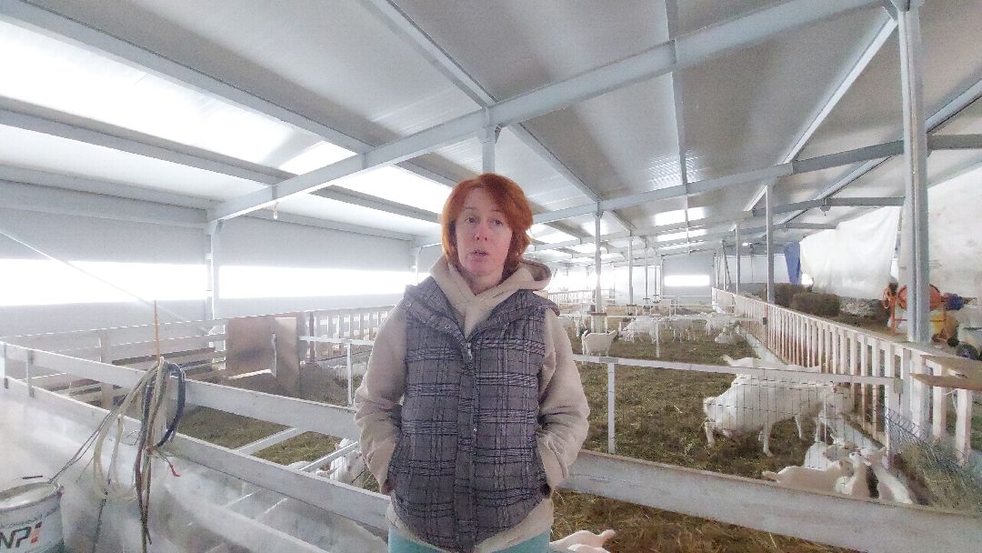 Воскресенск, общество