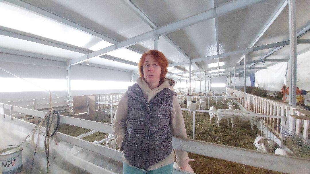 Воскресенск, общество