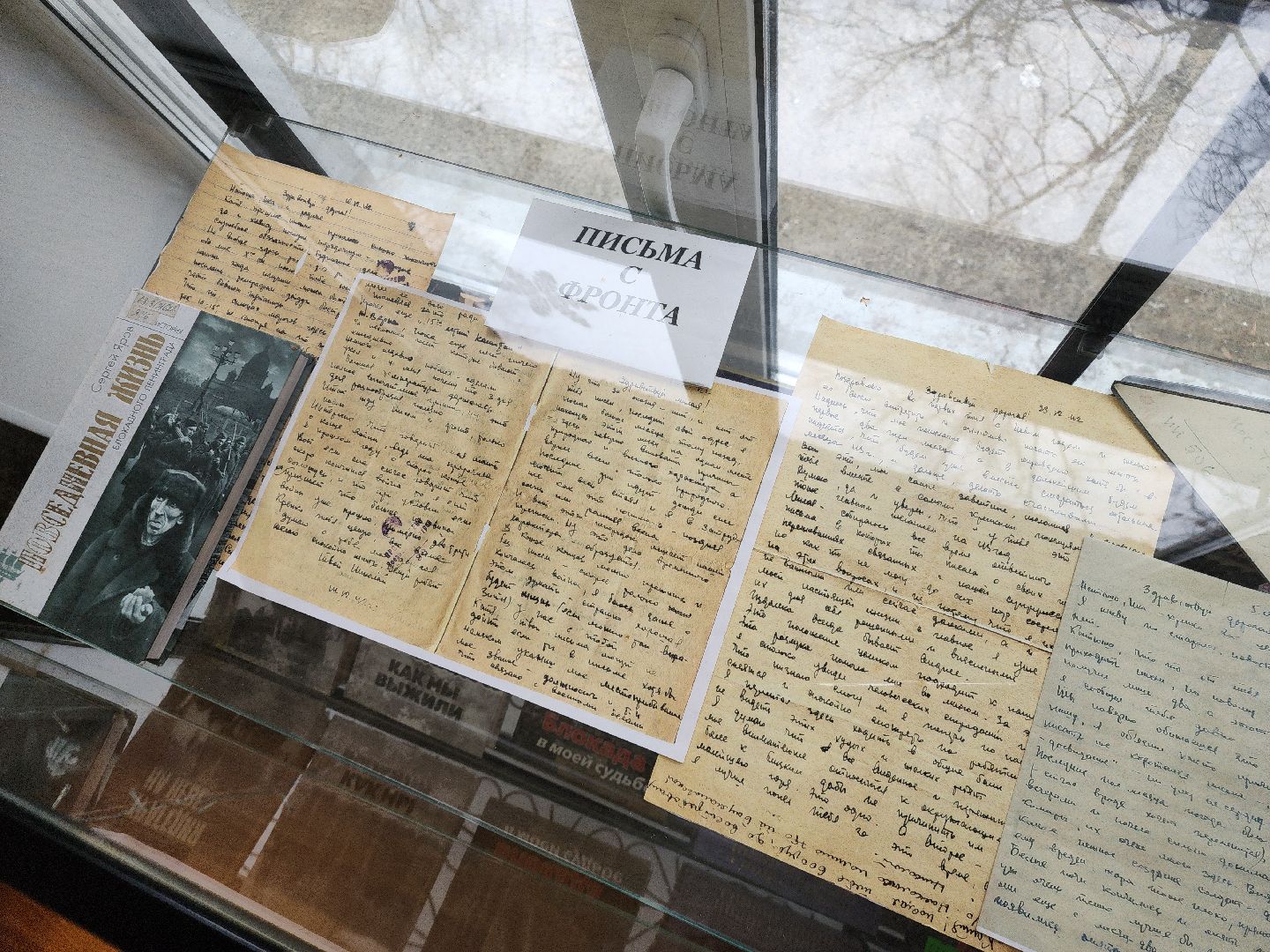 Кинопоказ, блокада ленинграда, библиотека,