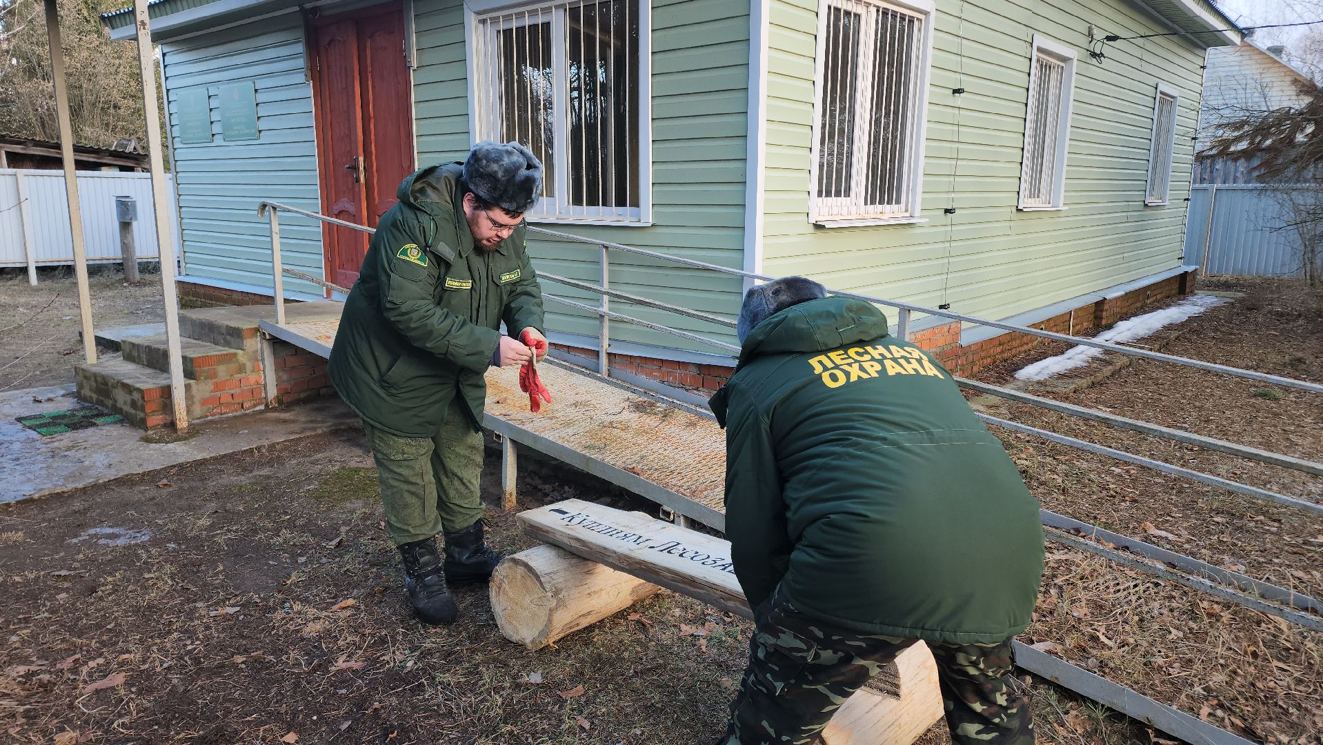 Егорьевск, Подмосковье, Московская область, Мособллес,