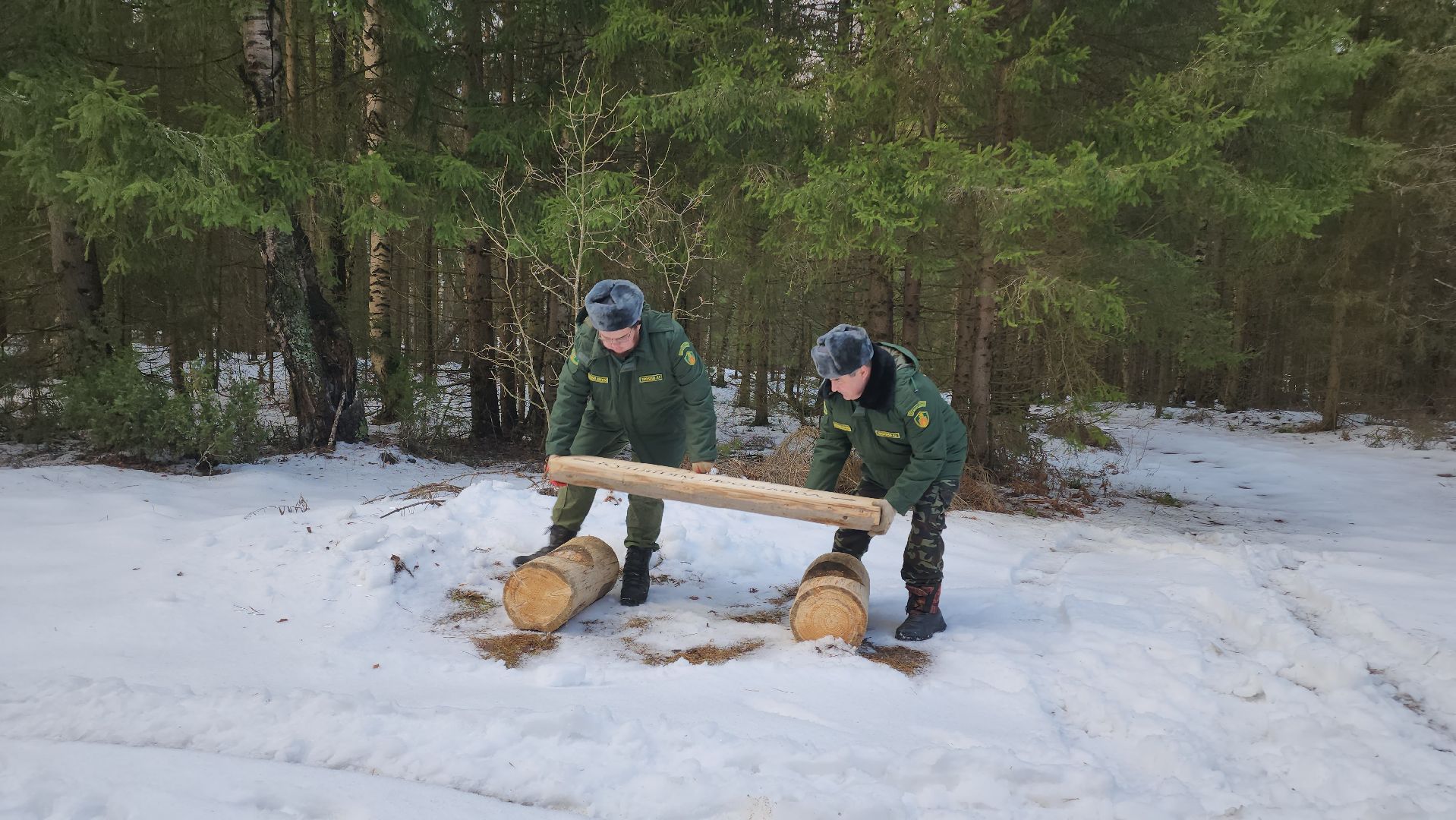 Егорьевск, Подмосковье, Московская область, Мособллес,