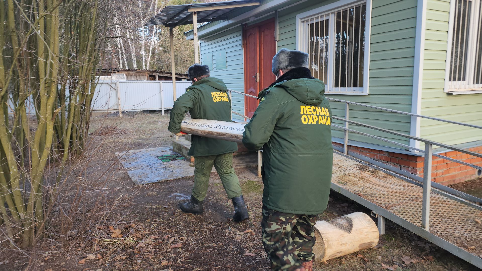 Егорьевск, Подмосковье, Московская область, Мособллес,