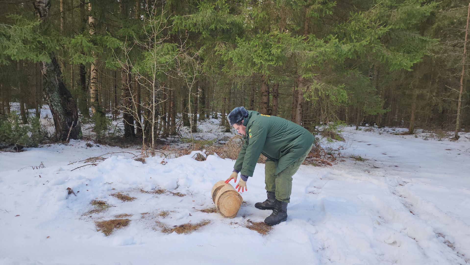 Егорьевск, Подмосковье, Московская область, Мособллес,