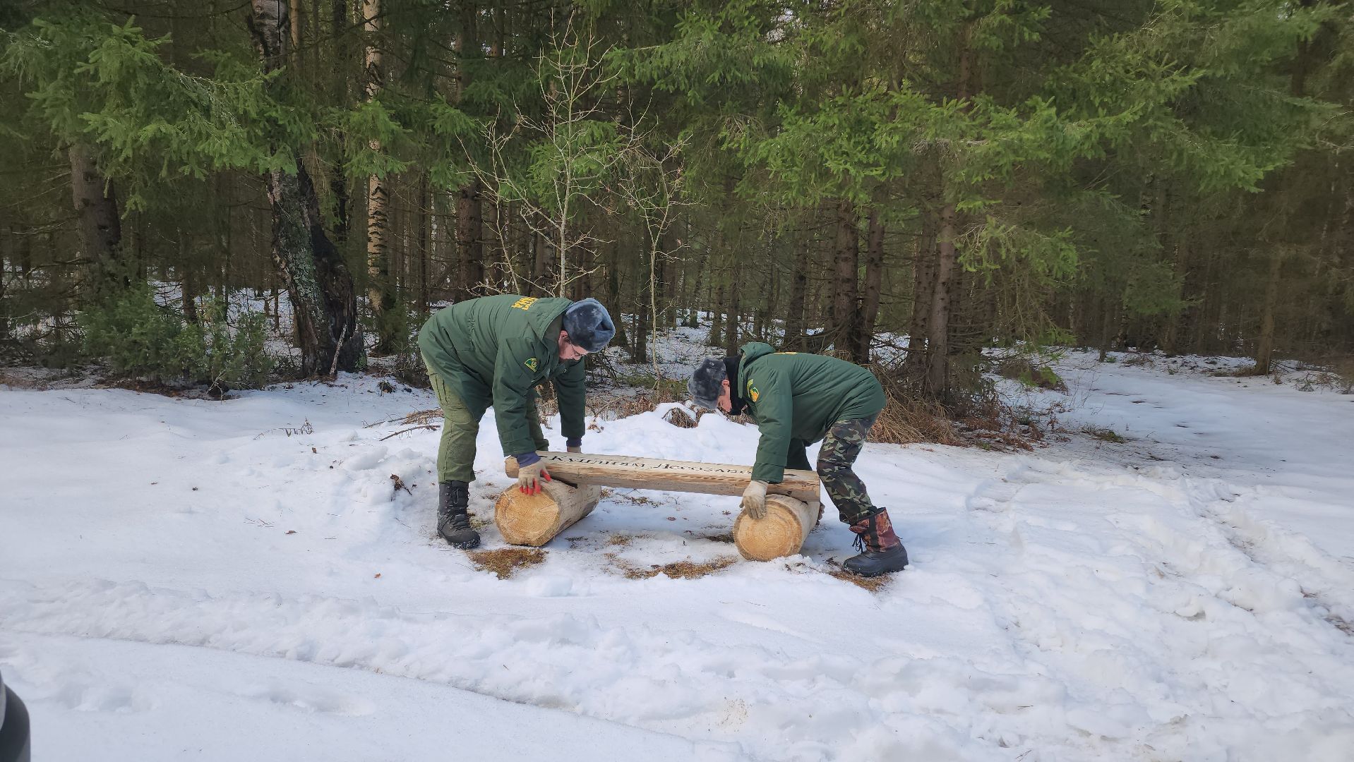 Егорьевск, Подмосковье, Московская область, Мособллес,