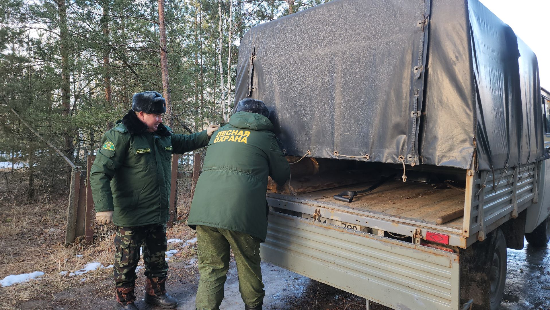 Егорьевск, Подмосковье, Московская область, Мособллес,