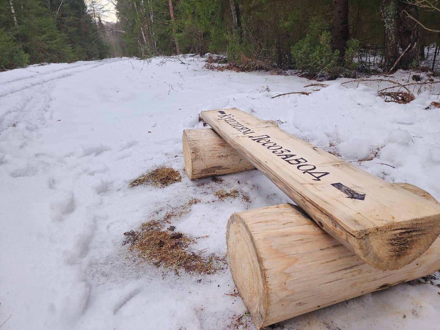 Егорьевск, Подмосковье, Московская область, Мособллес,
