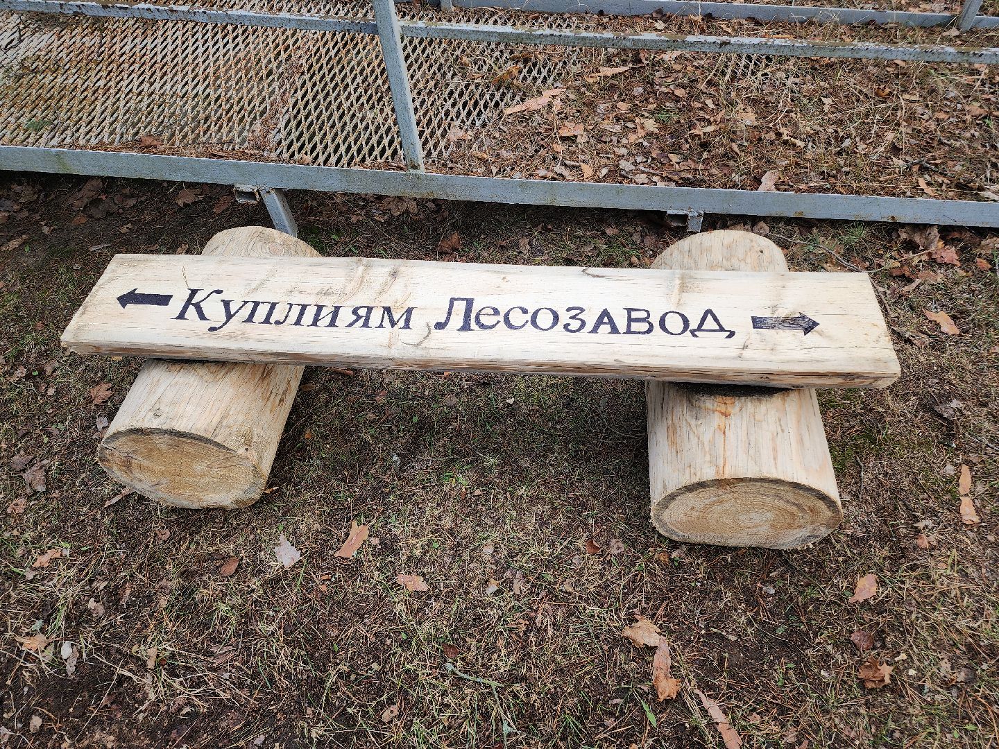 Егорьевск, Подмосковье, Московская область, Мособллес,