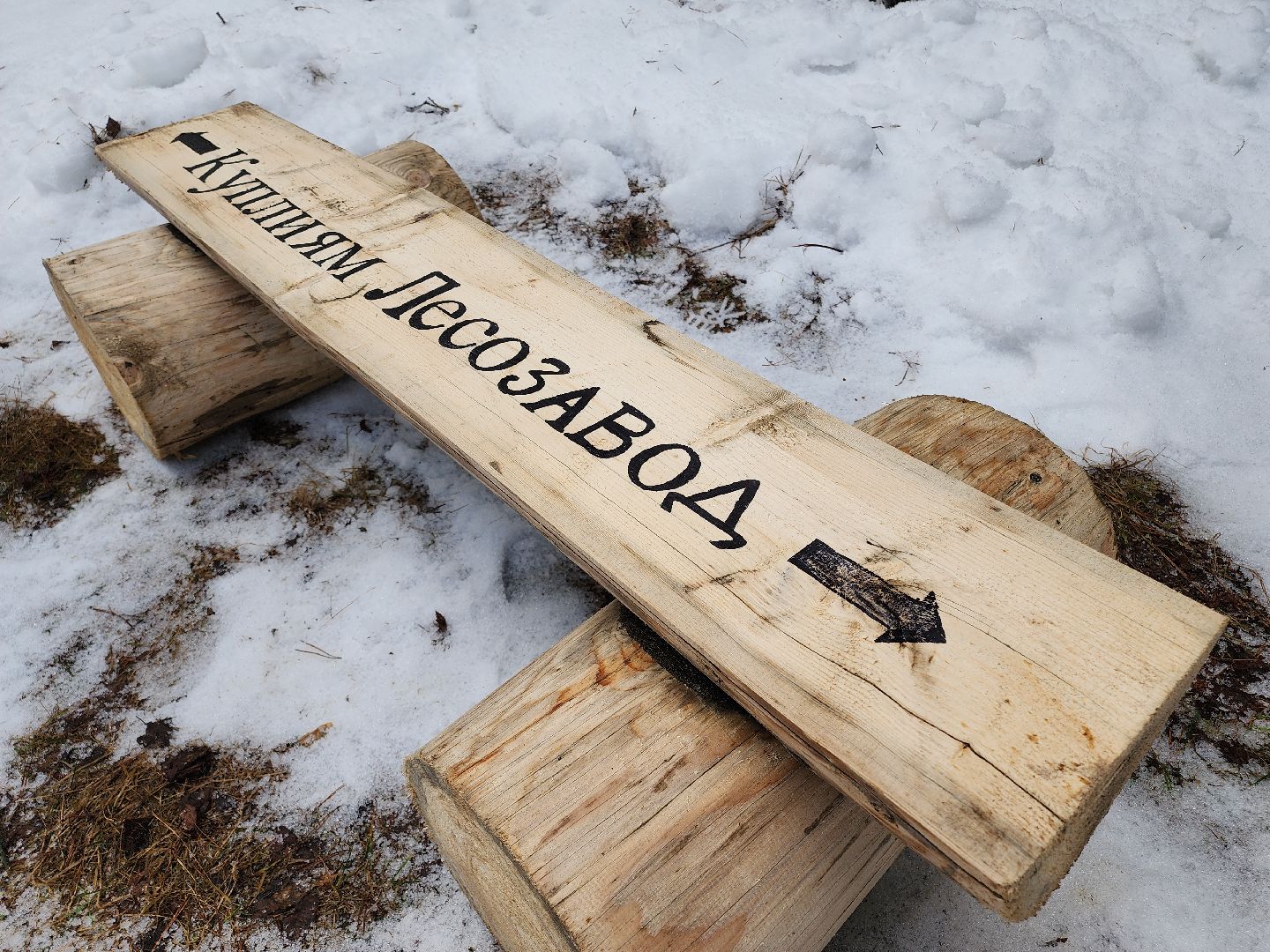 Егорьевск, Подмосковье, Московская область, Мособллес,