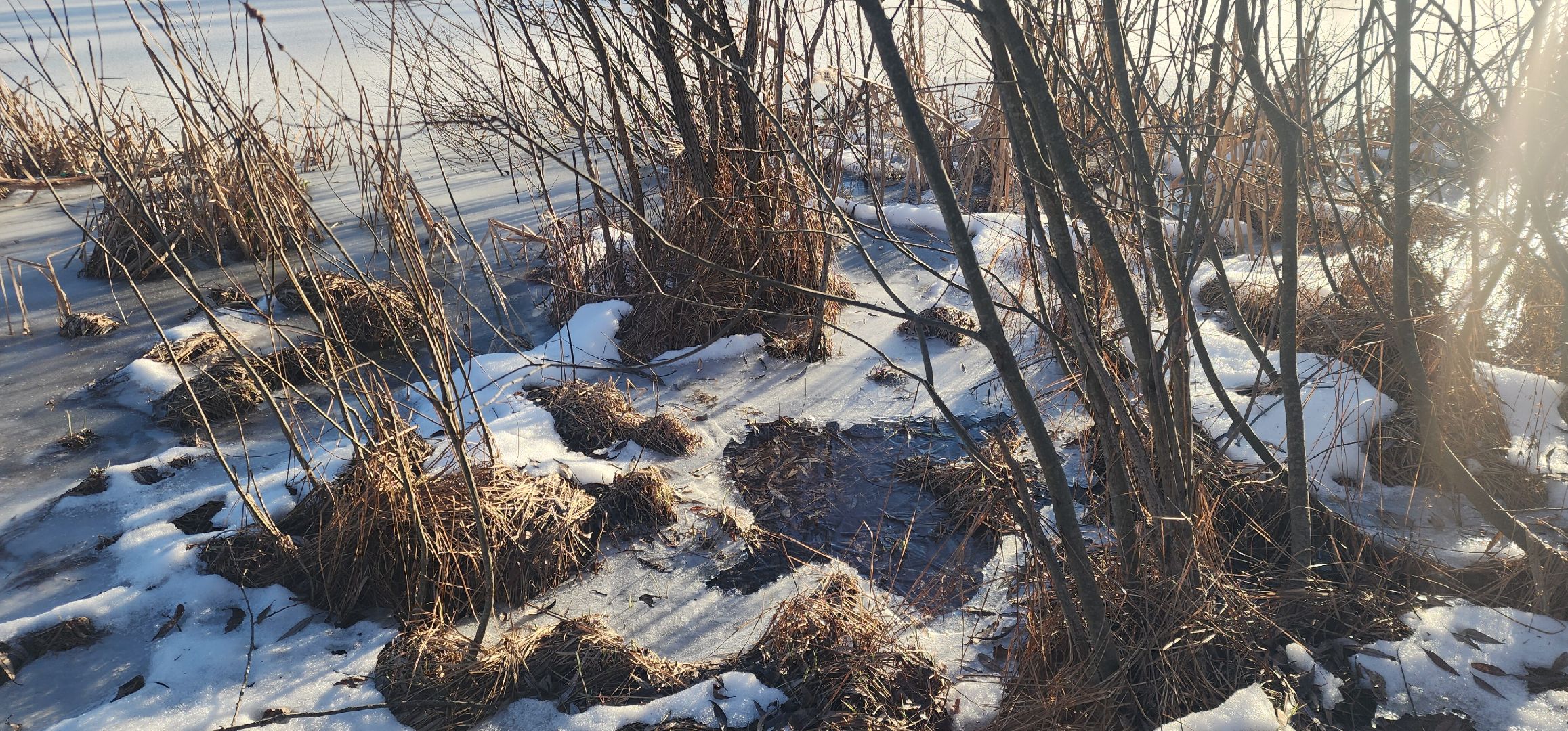 Большие Вяземы, Безопасность, Служба спасения, вертикалки,